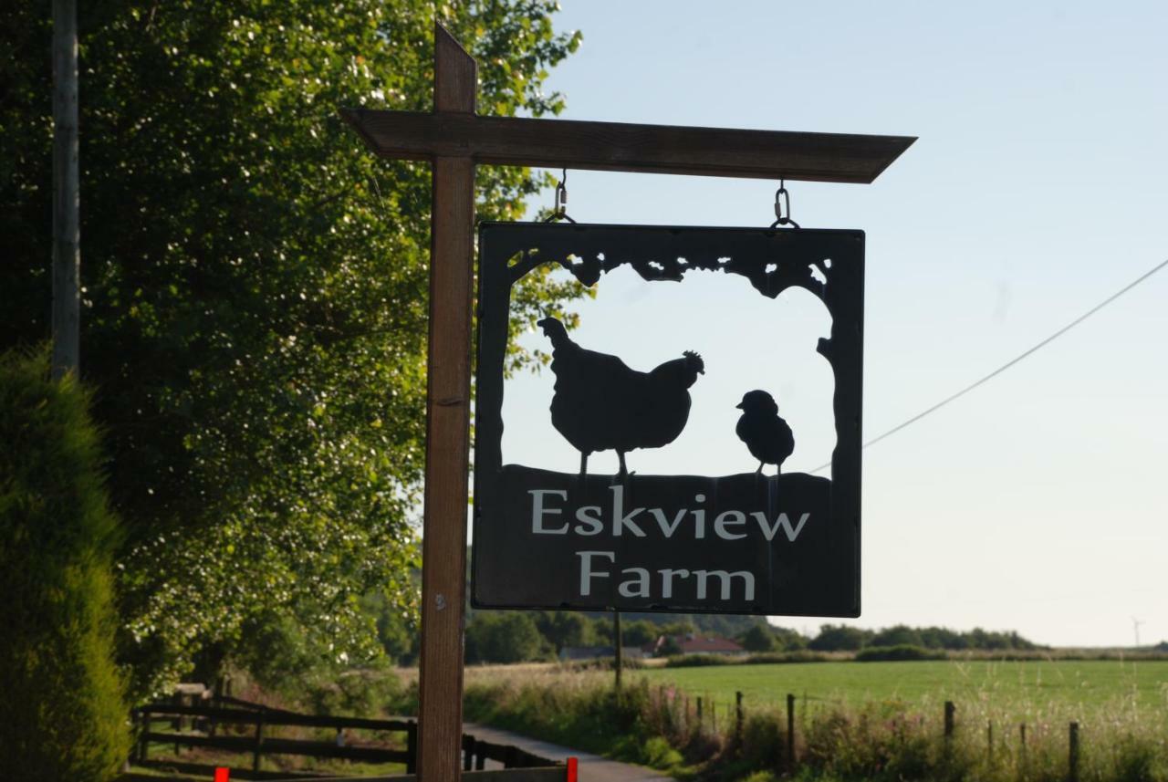 مبيت وإفطار مونتروز Eskview Farm المظهر الخارجي الصورة